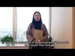 Niet-geweven naald-stempel